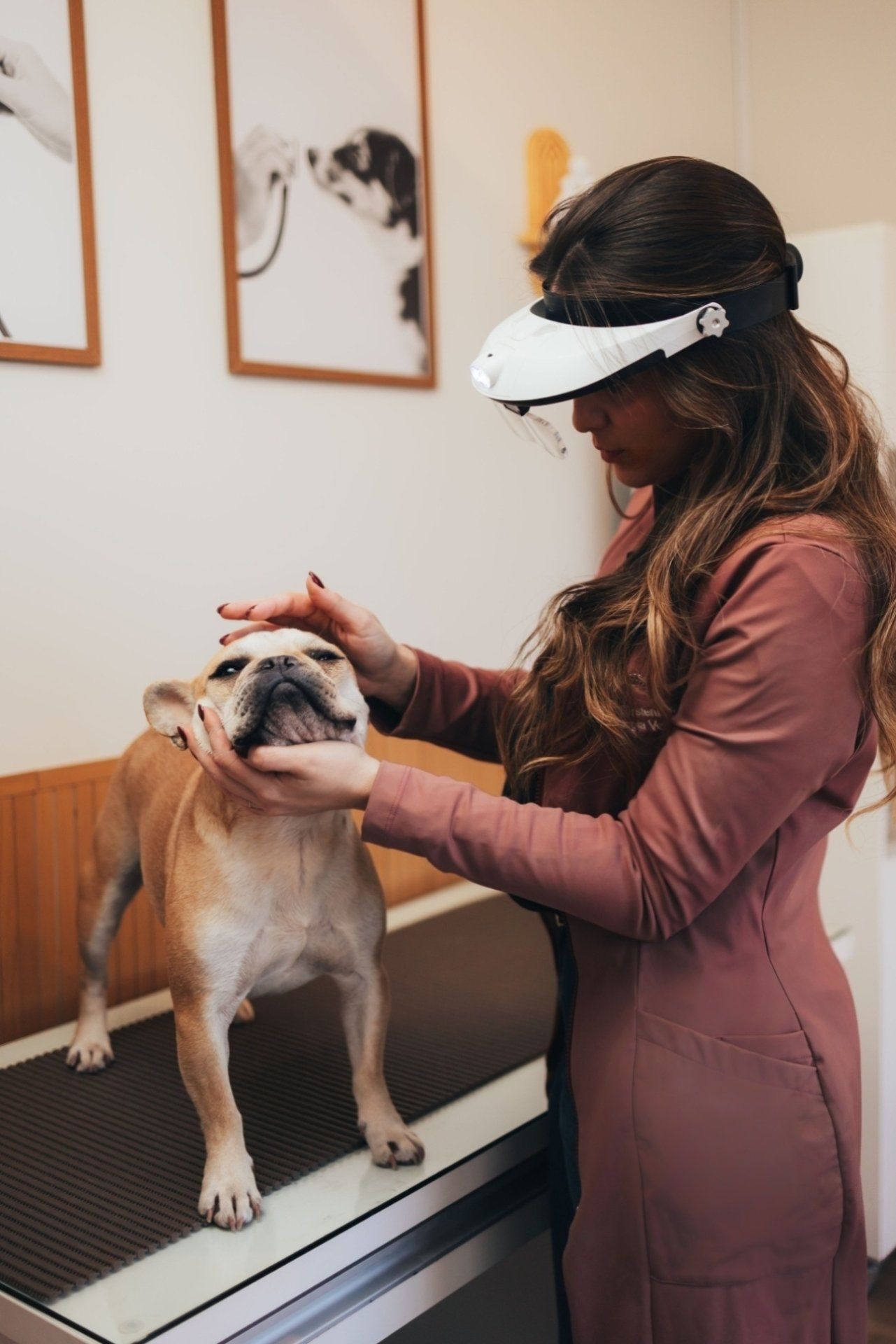 Anna Fürstenberger - Dermatologia Veterinária Curitiba